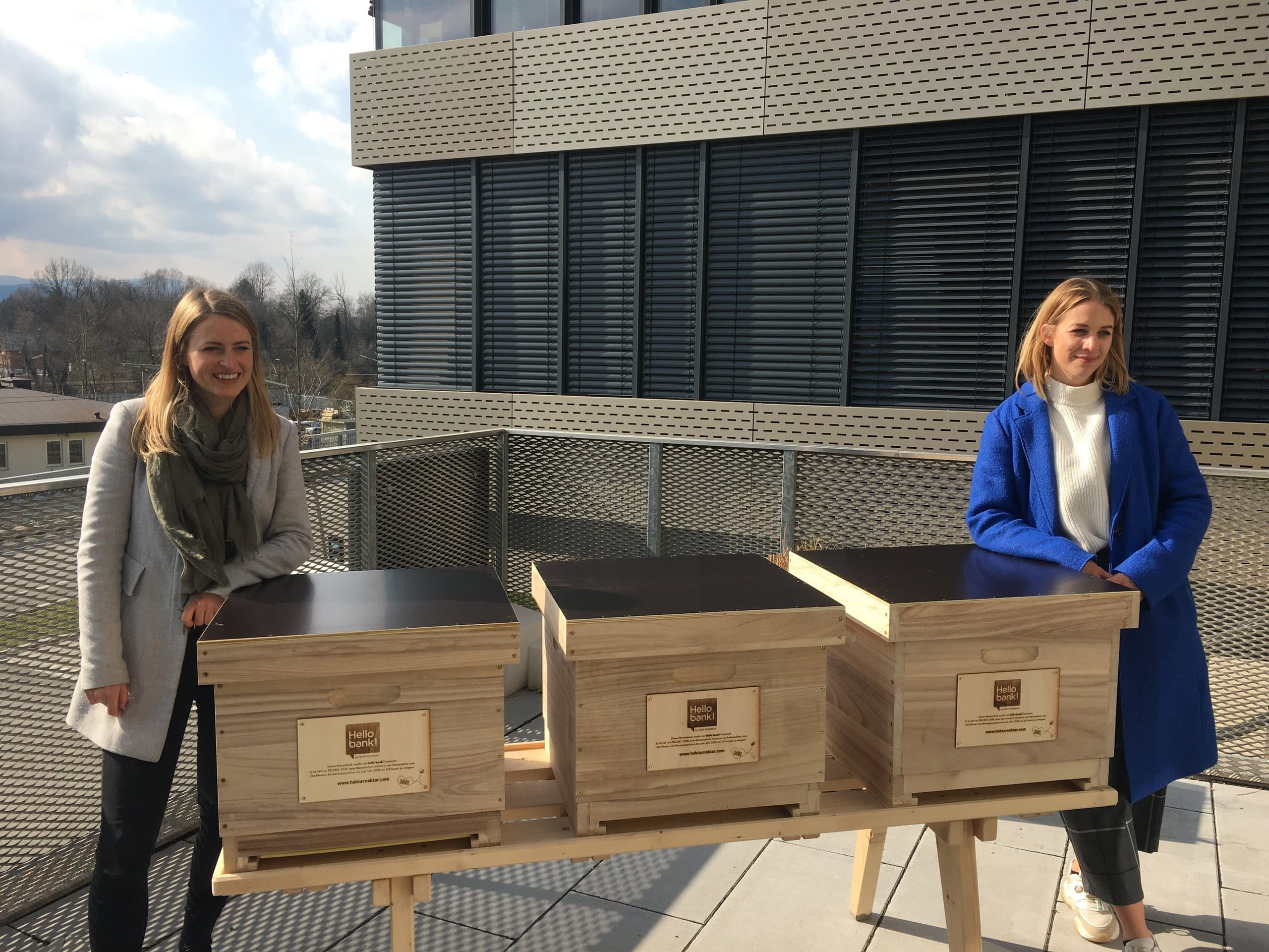 Bienenstock am Firmengebäude